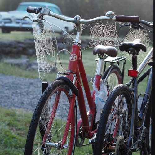 A red bicycle, covered in cobwebs.