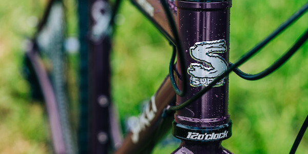 Headtube decal detail on a Surly Karate Monkey bicycle in a custom build, in Eggplant. The purple pops against the grassy green background.