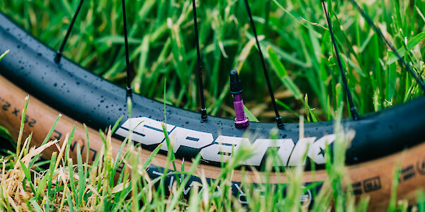 Close-up of a Spank Oozy bicycle rim on a custom-built bicycle wheel with a purple valve. The wheel is on grass, with raindrops on the rim.