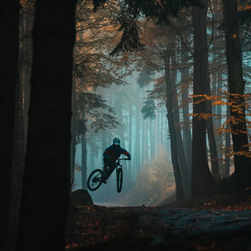 A mountain biker mid-air, shot in a moody forest