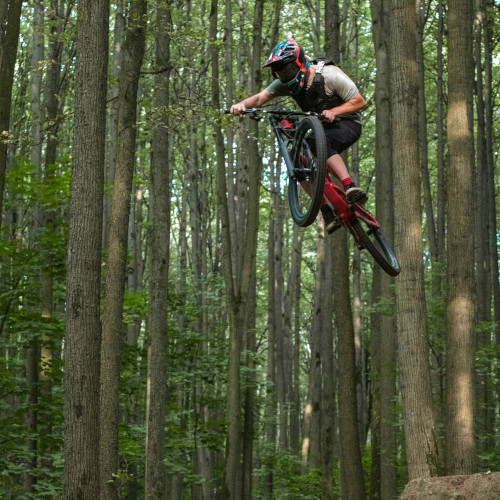 A mountain biker in a forest, mid-jump
