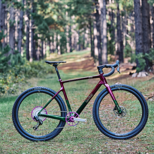 Carbon gravel bike from Gothic Cycles, photographed in a forest