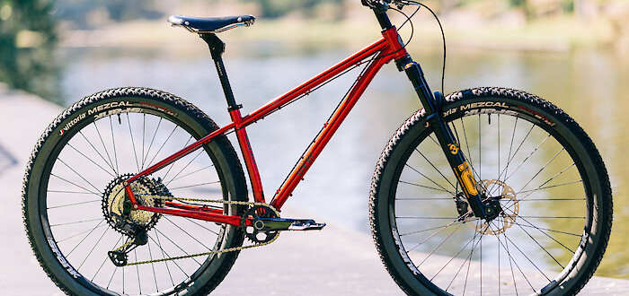 A custom-built Esker Japhy bikepacking bike, lake-side on a sunny day