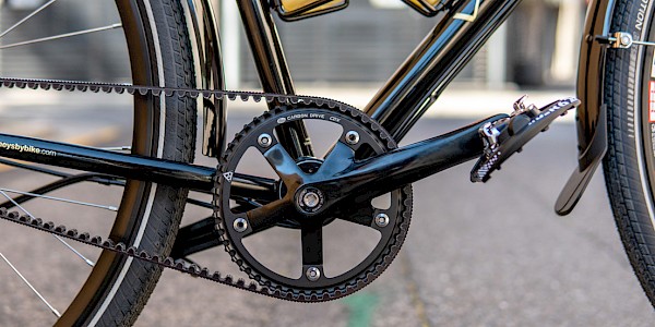 Vivente The Gibb, chainring and belt drive detail