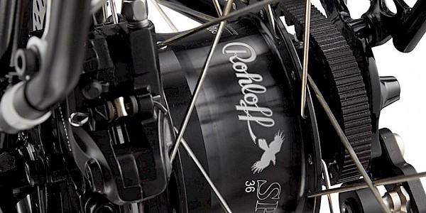 Vivente Stirling, Rohloff hub detail