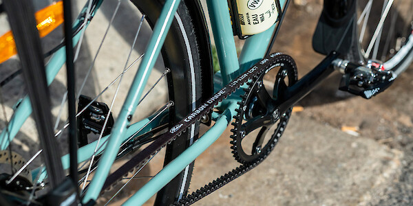 Vivente The Gibb bike, custom paint job with belt drive detail