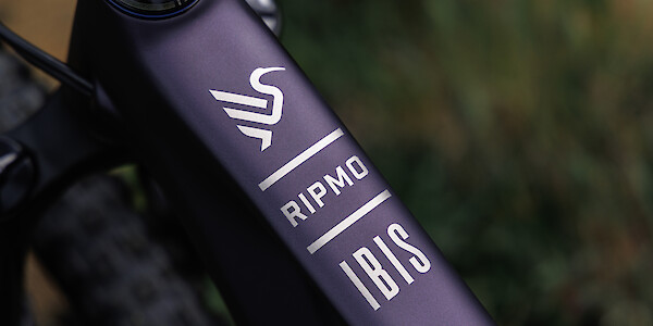 Ibis Ripmo 3 top tube detail, Heckleberry Purple