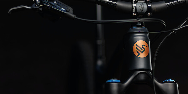 Gold head tube badge detail on an Ibis Ripmo V2S mountain bike in EnduroCell Black