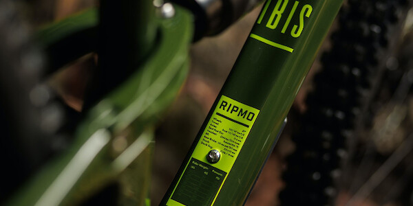 Downtube decal detail on an Ibis Ripmo V2S mountain bike in Bruce Banner Green