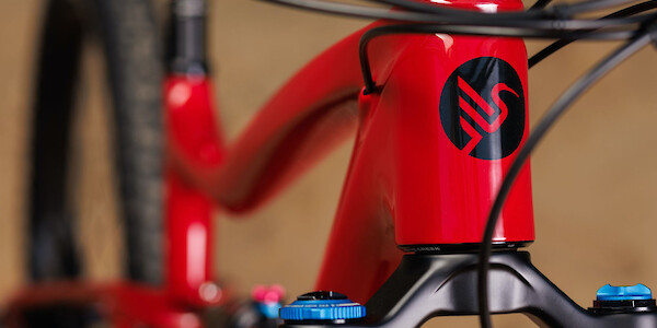 Ibis Ripley V4S mountain bike in Bad Apple Red, headtube decal detail