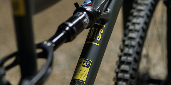 Rear shock detail on an Ibis Cycles Ripley AF in Mustard Stain black