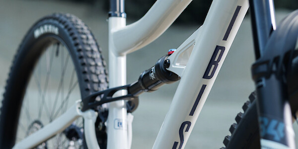 Ibis Cycles Ripley AF in Protein Shake White, downtube frame decal detail