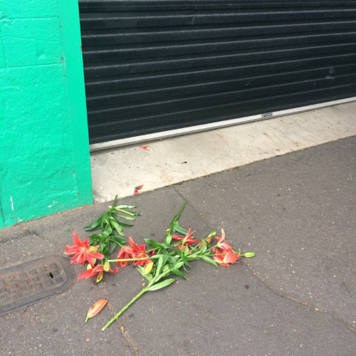 Flowers lying on the footpath outside the roller door at Bio-Mechanics Cycles & Repairs