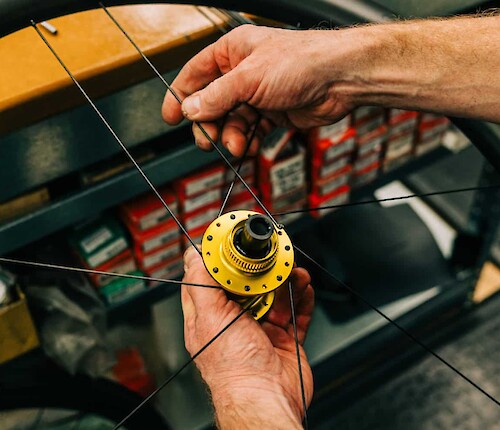 A bicycle wheel being built at BMCR by a professional bicycle mechanic. The gold hub and black rim contrast against the wooden work bench.