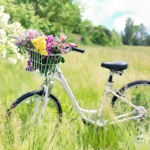 A white ladies' bike in a green field, its front basket full of flowers