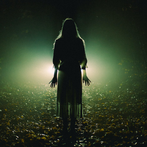 A woman in a thin dress, silhouetted in the dark of a forest with a spotlight behind her