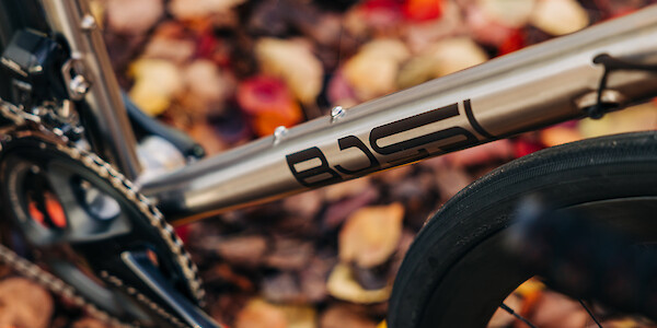 Downtube frame detail on a Bossi Strada titanium road bike, autumn leaves in the background