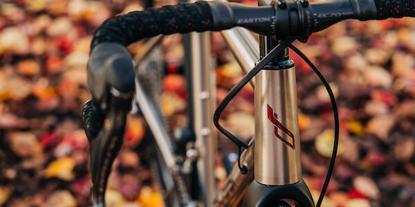 Headtube detail on a Bossi Strada titanium road bike, autumn leaves in the background