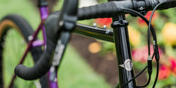 Genesis Fugio 20 bicycle, close-up on the head badge
