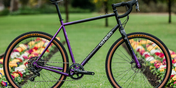Genesis Fugio 20 bike in Stone Temple Violets