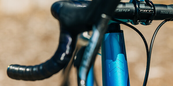 Headtube decal detail on a custom-painted Curve Belgie Ultra bike