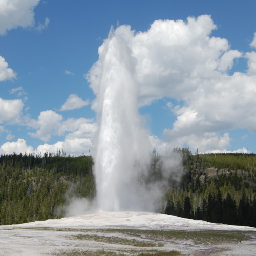 A geyser erupting in front of a serene forest backdrop