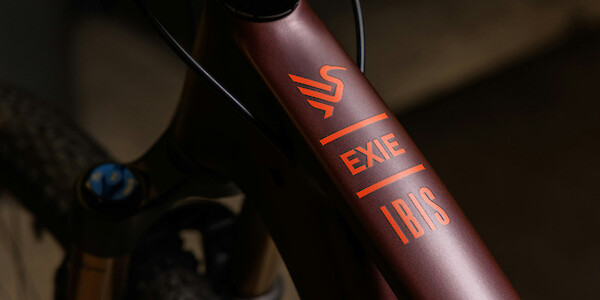 Top tube decal detail on an Ibis Exie USA mountain bike in Blood Orange Burgundy.