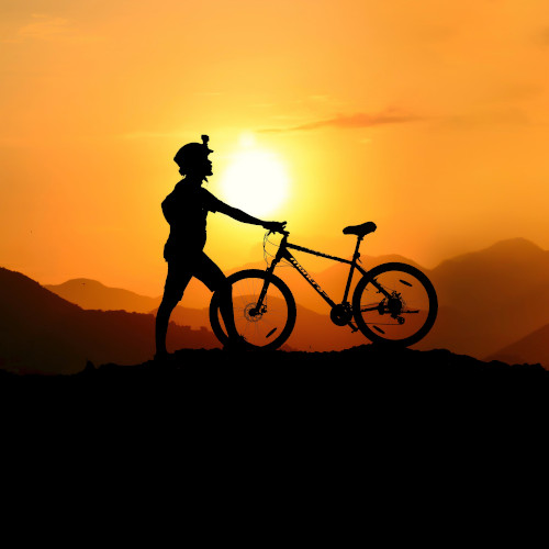 A man with a mountain bike, silhouetted against the sun in a striking pose.