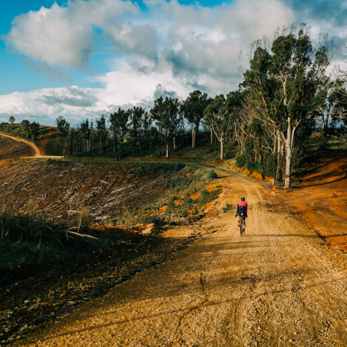 A gravel cyclist riding away down a dirt road, rolling hills of red clay and green trees around him.