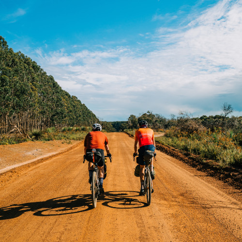 Two gravel cyclists riding away from the camera down a red dirt road in a forest area. The sky is very blue. Their jerseys are very orange.