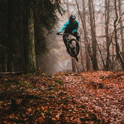 A mountain biker mid-jump in a leafy, autumnal forest.