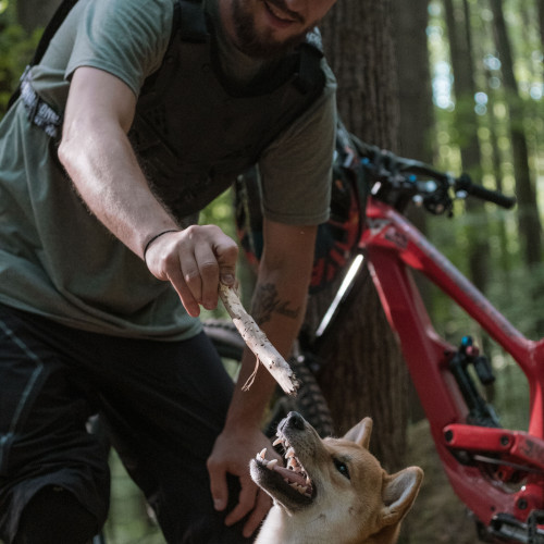 A mountain biker holds a stick in front of a dog. The dog's teeth are bared, as if it's about to take a bite (out of the stick, not its owner, hopefully).