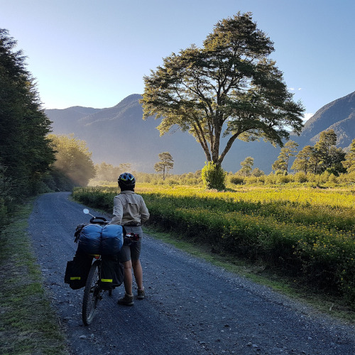 A woman in a remote field, walking next to a heavily laden touring bike.