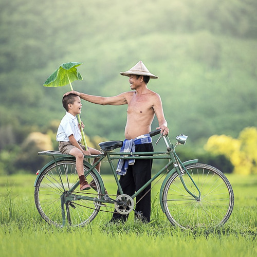 A father and son in a rice paddy, the son on the back of a bike, the father wearing a traditional woven hat and patting the son on the head with a samile.