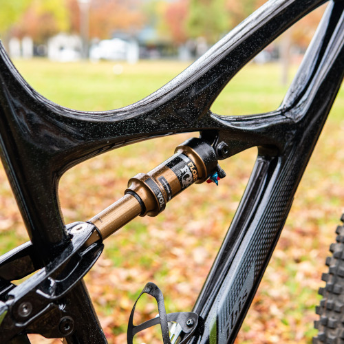 Frame detail of a carbon Ibis Mojo mountain bike, a leafy park in the background