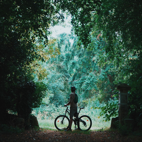 A cyclist stands at the opening of a forested area, looking out of the shelter. It's very green and shaded.