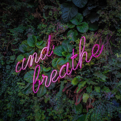 A pink neon sign that says 'and breathe' against a green leafy backdrop.