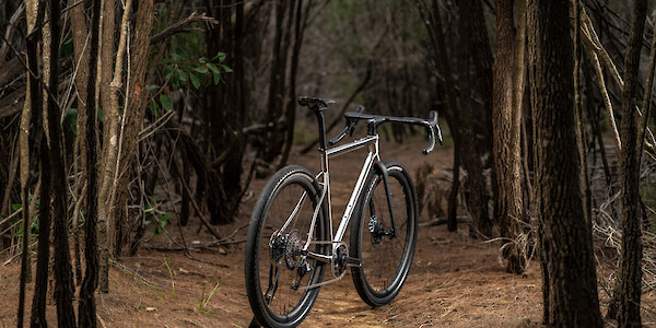 A Bossi Grit SS titanium gravel bike, photographed in a moody forested area.