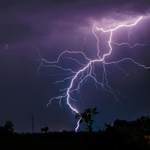 A lightning strike hitting the ground at night, with trees and a telegraph pole silhouetted in the distance.