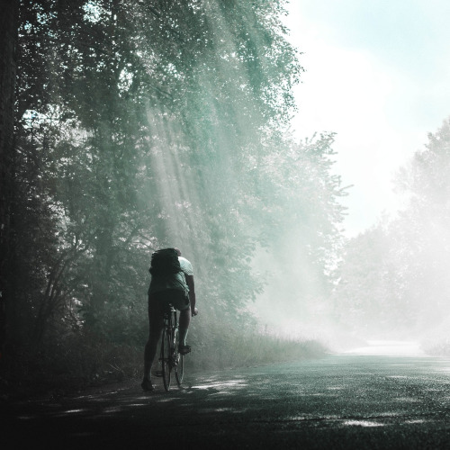 A cyclist about to pedal off into the woods, the rays of sun creating a mystical effect on the road ahead