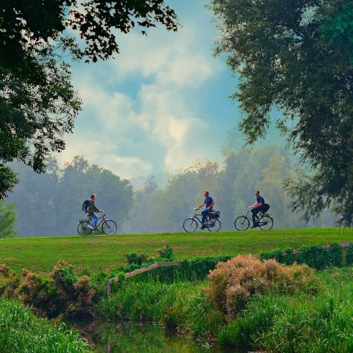 Three men on bikes who have stopped to talk. They are in an idyllic pasture environment, viewed from some distance away.