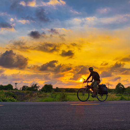 A gentleman rides a bicycle along a country road, the sun setting behind him.