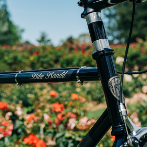 Frame detail on a black All-City Big Block bicycle, custom-built by Bio-Mechanics Cycles & Repairs, photographed in a rose garden. The frame decal says 'Bike Bandit'.