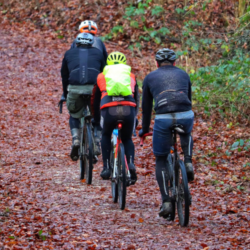 Four people riding bikes on a leaf-strewn forest path, photographed from behind. They are all in winter kit, and the last rider is muddy.
