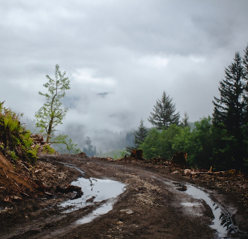 A dirt road leading around a hillscape, cloudy mountain vistas in the distance, lots of mud and puddles in the foreground.