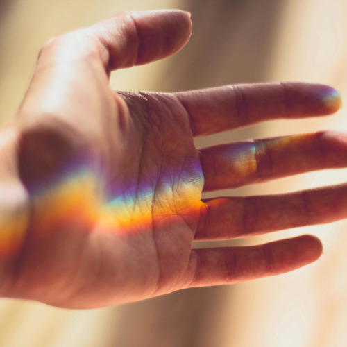 A hand with a rainbow prism of light reflected along the length of it.