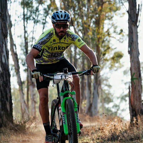 A mountain biker rides through a forest.
