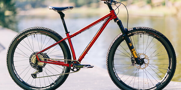 Esker Japhy bikepacking bike, custom-built by Bio-Mechanics Cycles, lake-side