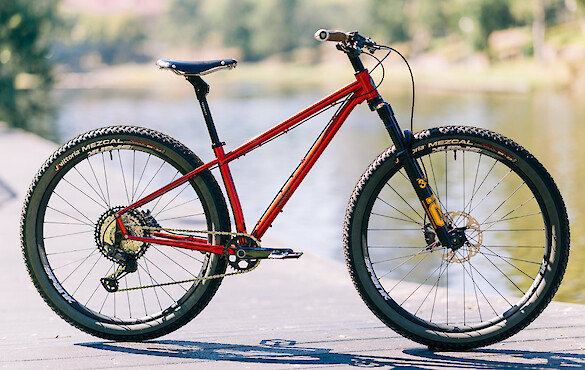 Esker Japhy bikepacking bike, custom-built by Bio-Mechanics Cycles, lake-side