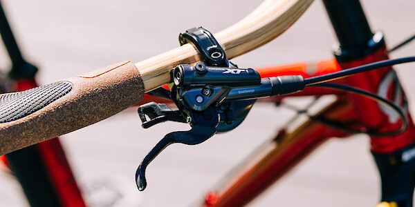 Passchier bamboo bars & Ergon BioKork grips on a custom-built Esker Japhy bikepacking bike